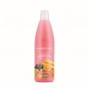 PARIS.Šampon čistící-ovocná esence 1000ml